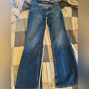 American Eagle Outfitters Blue Boot Cut Jeans